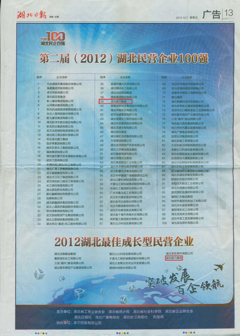 湖北民營企業100強，程力集團排名39位